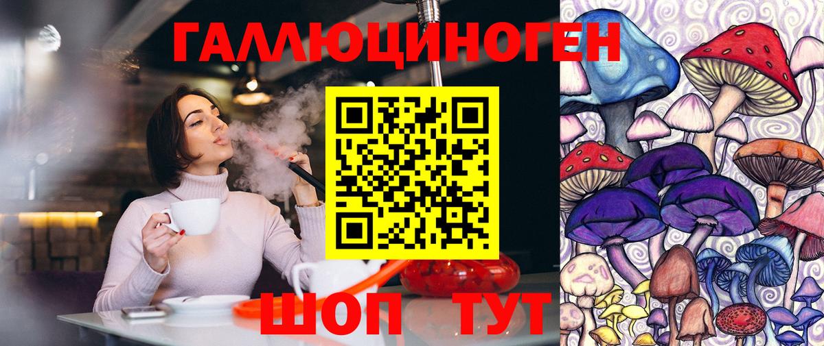 Галлюциногенные грибы MAGIC MUSHROOMS  Вход с VPN  Орск  Галлюциногенные грибы MAGIC MUSHROOMS 