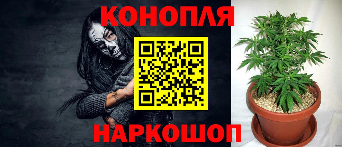 Орск  Канабис OG Kush  Марихуана семена  Бошки марихуана Ganja  Вход с VPN 