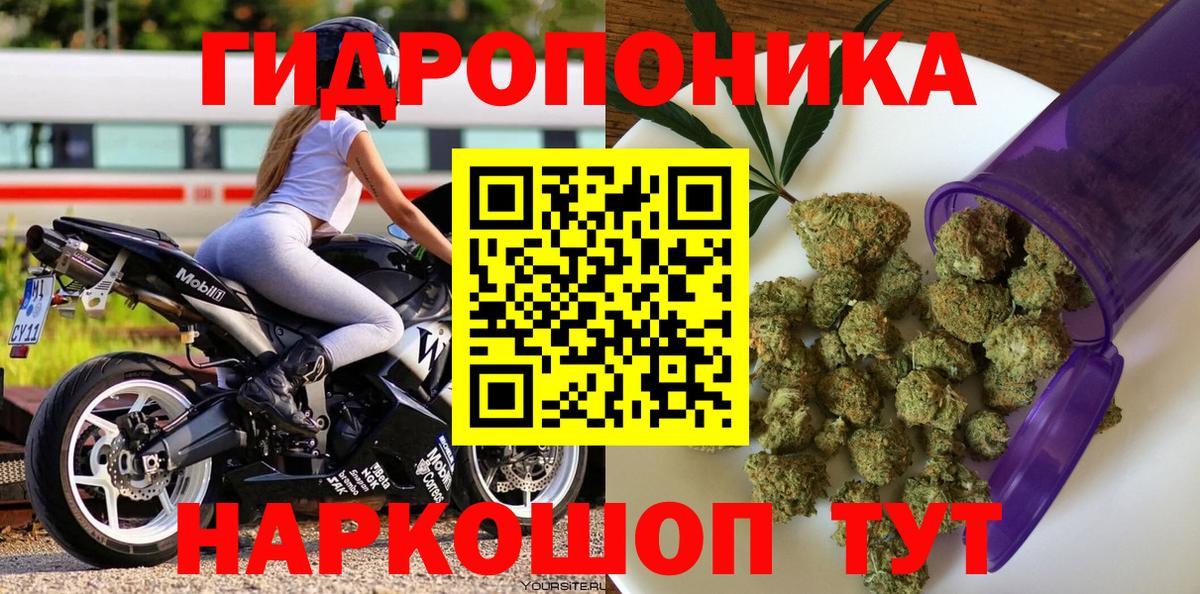 Бошки Шишки конопля Орск